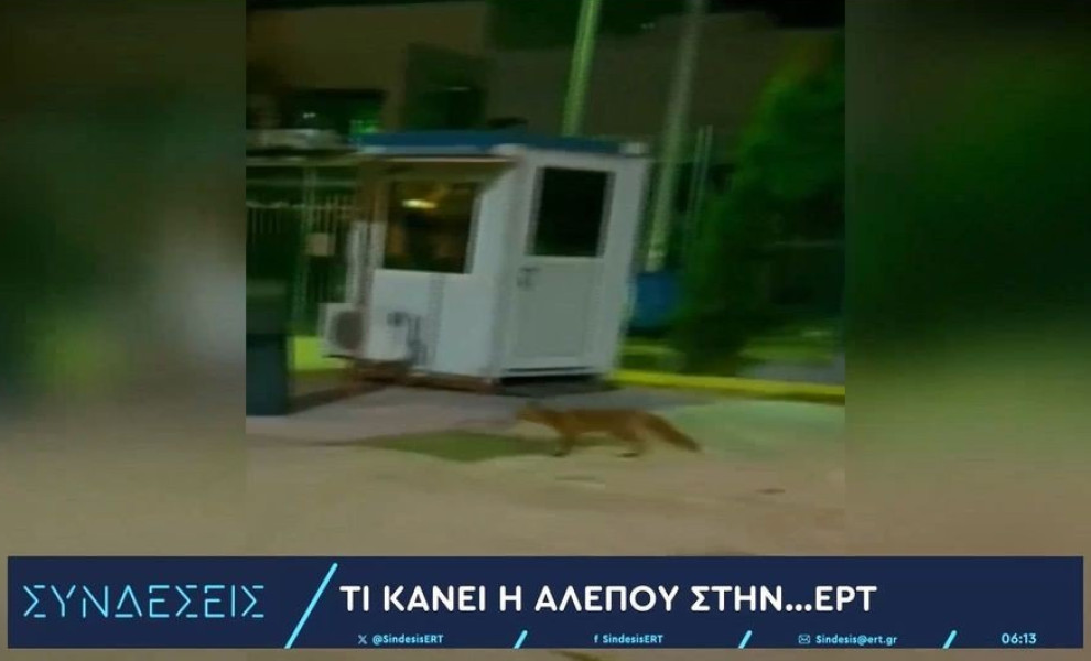 Φωτ.: Glomex / ΕΡΤ