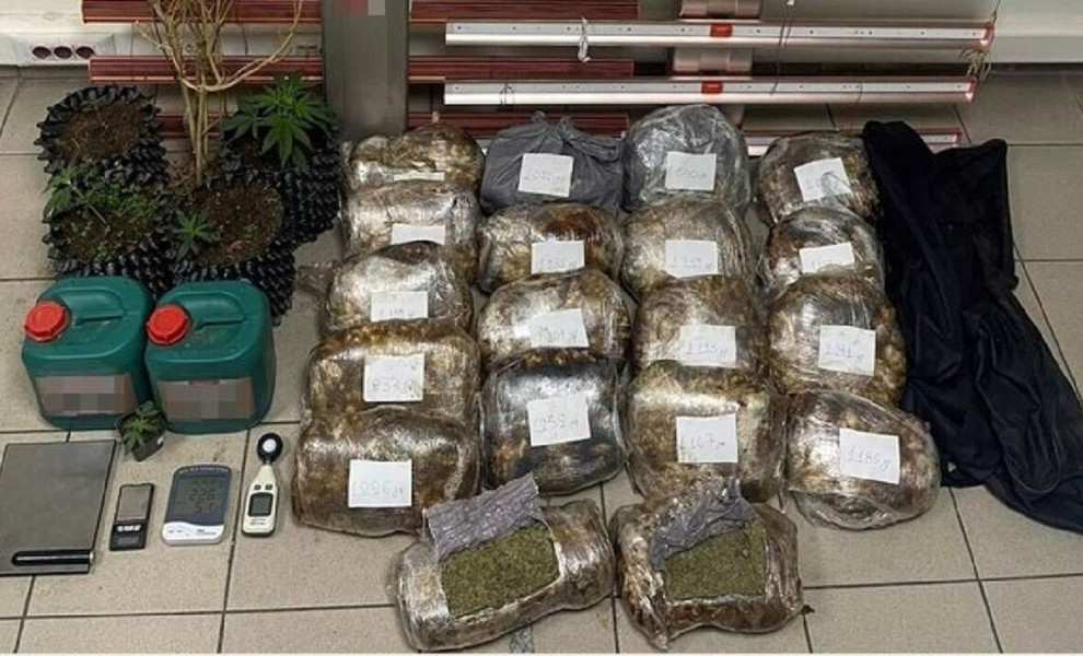 κάνναβη / ΕΛΑΣ