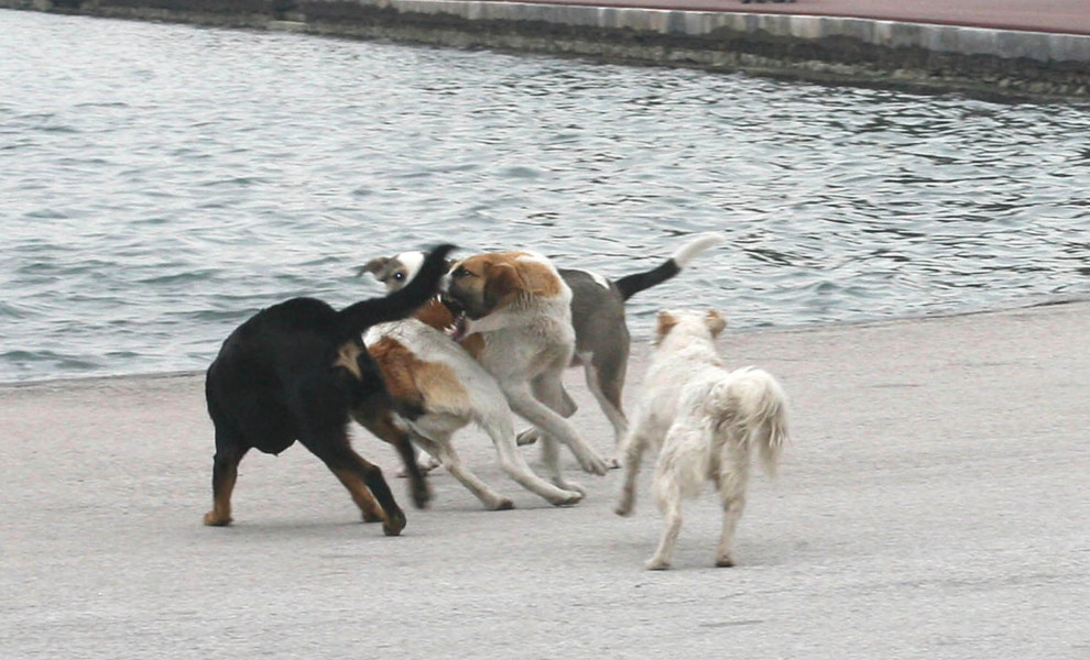 Φωτο αρχείου: Eurokinissi