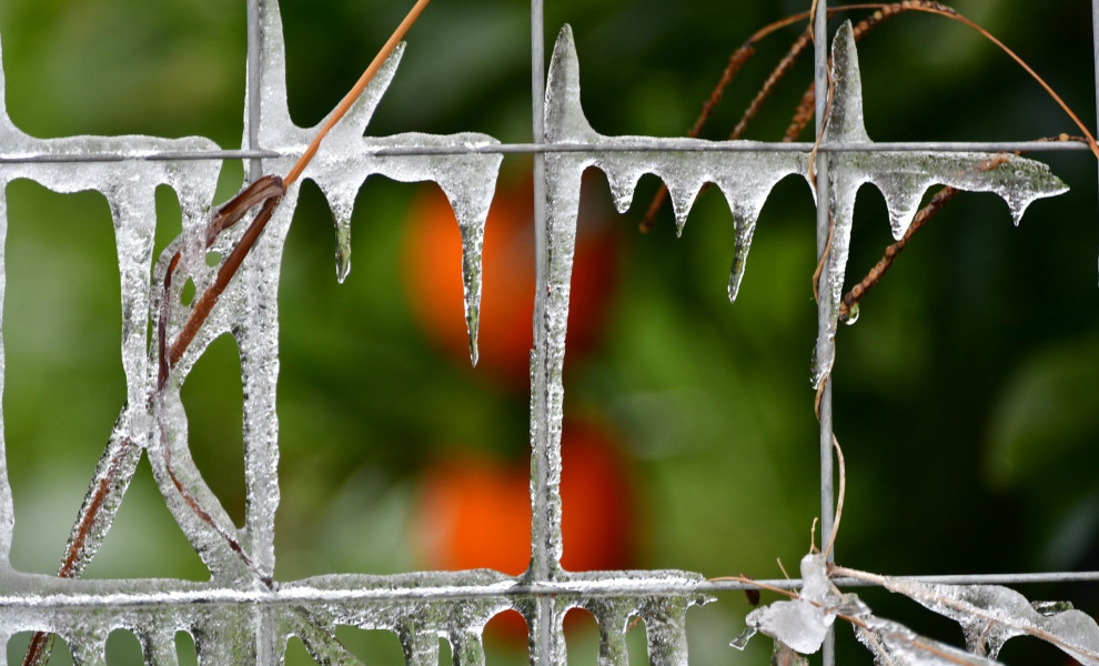 Παγετός / ΑΠΕ αρχείο