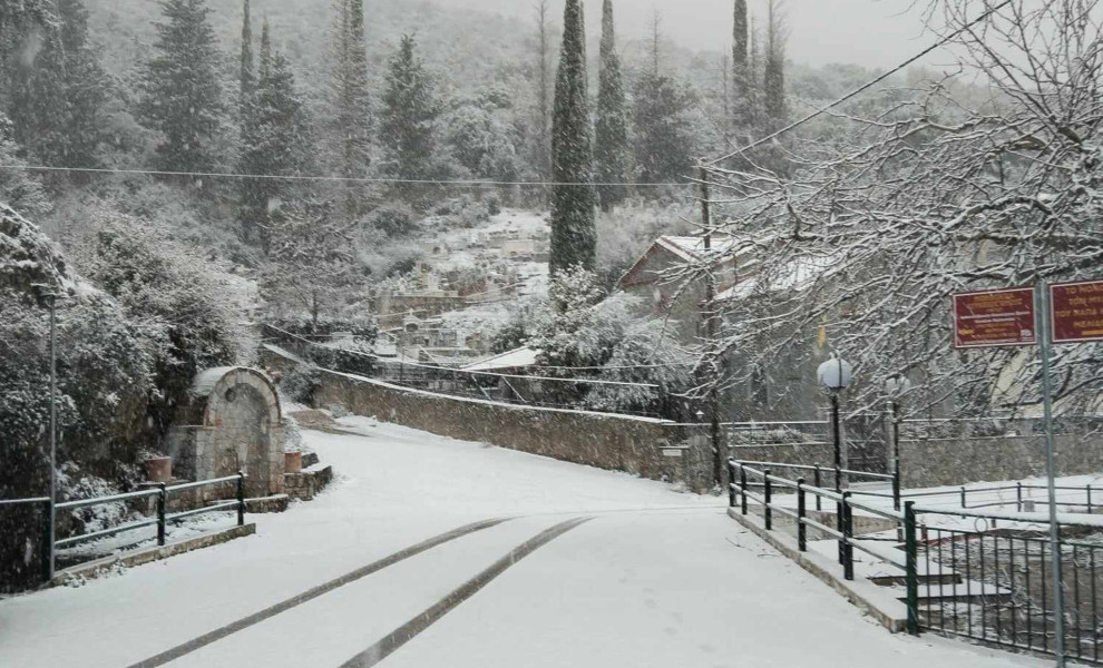 Φωτο: ΑΠΕ-ΜΠΕ/ΑΠΕ-ΜΠΕ/ΜΠΟΥΓΙΩΤΗΣ ΕΥΑΓΓΕΛΟΣ