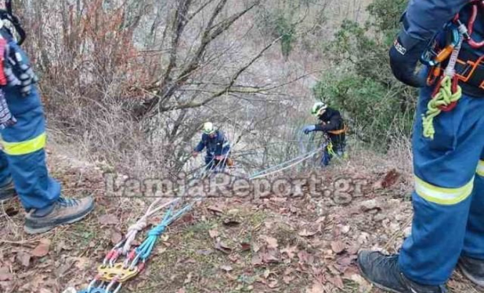 πηγή: Lamiareport πηγή: Lamiareport