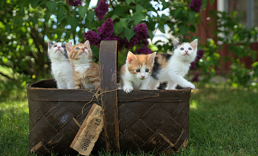 Φωτογραφία αρχείου Unsplash