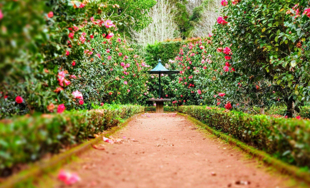 Άνοιξη / Unsplash