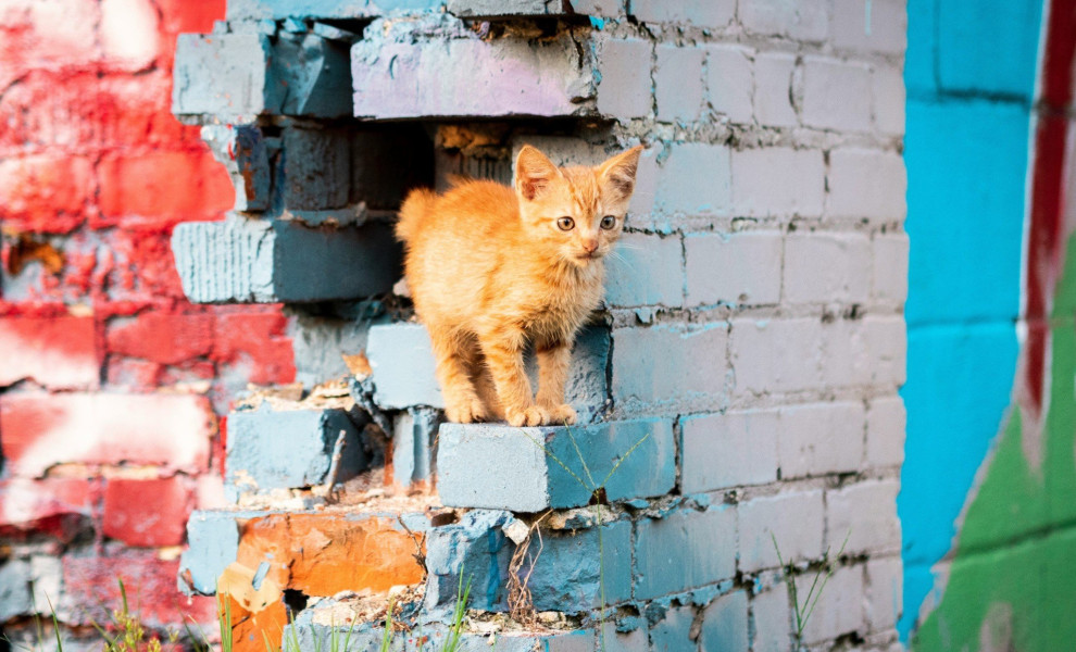 Φωτογραφία: Unsplash