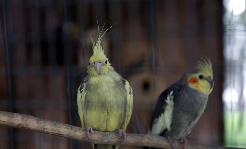 Φωτο αρχείου: Eurokinissi