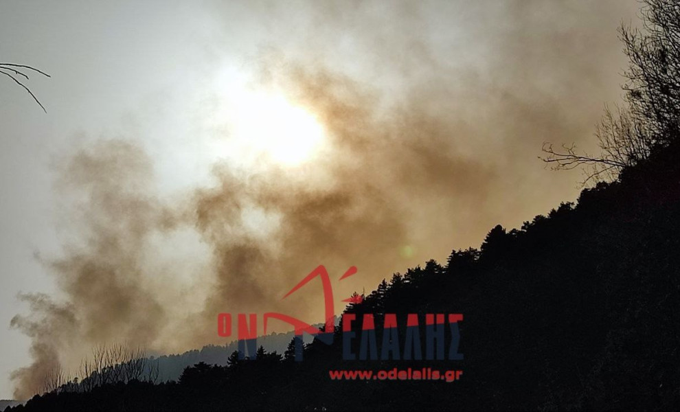 πηγή: Ο Ντελάλης