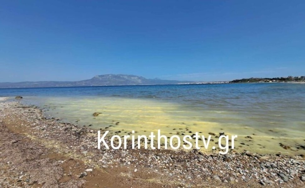 Κίτρινη η θάλασσα στην Κόρινθο/korinthostv Κίτρινη η θάλασσα στην Κόρινθο/korinthostv