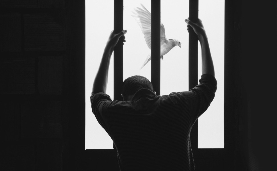 Unsplash