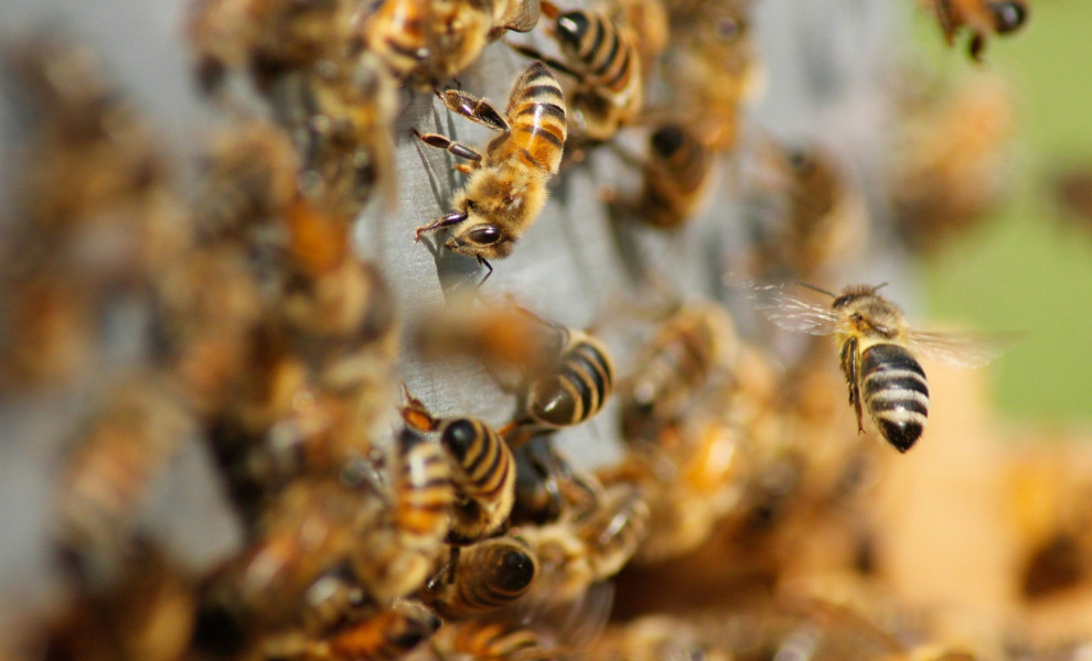 Φωτογραφία: Unsplash