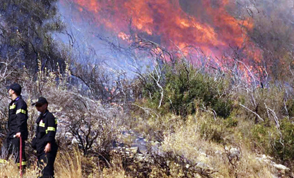 Φωτογραφία αρχείου. Εικόνα από τη φωτιά στην Αργολίδα (φωτο: ΑΠΕ-ΜΠΕ/ΜΠΟΥΓΙΩΤΗΣ ΕΥΑΓΓΕΛΟΣ)