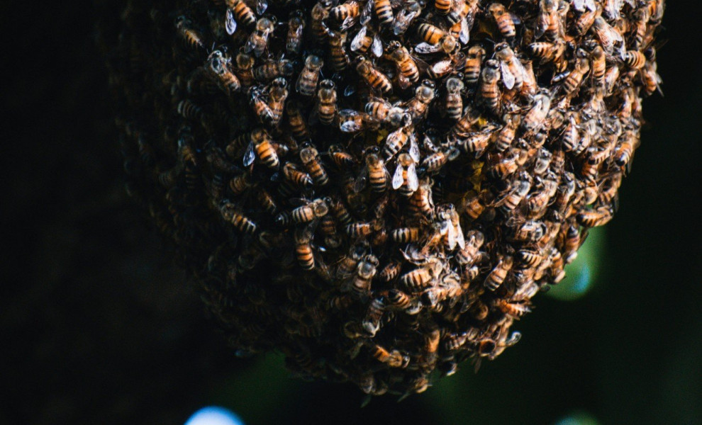 Φωτογραφία: Unsplash