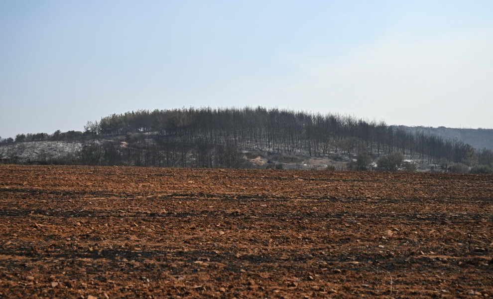 Καμμένα στον Έβρο / φωτ. αρχείου Eurokinissi