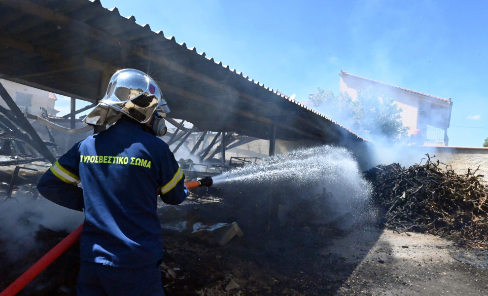 Φωτογραφία αρχείου Eurokinissi Φωτογραφία αρχείου Eurokinissi