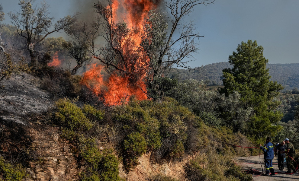 Φωτογραφία αρχείου. ΠΑΝΑΓΙΩΤΗΣ ΜΠΑΛΑΣΚΑΣ/EUROKINISSI