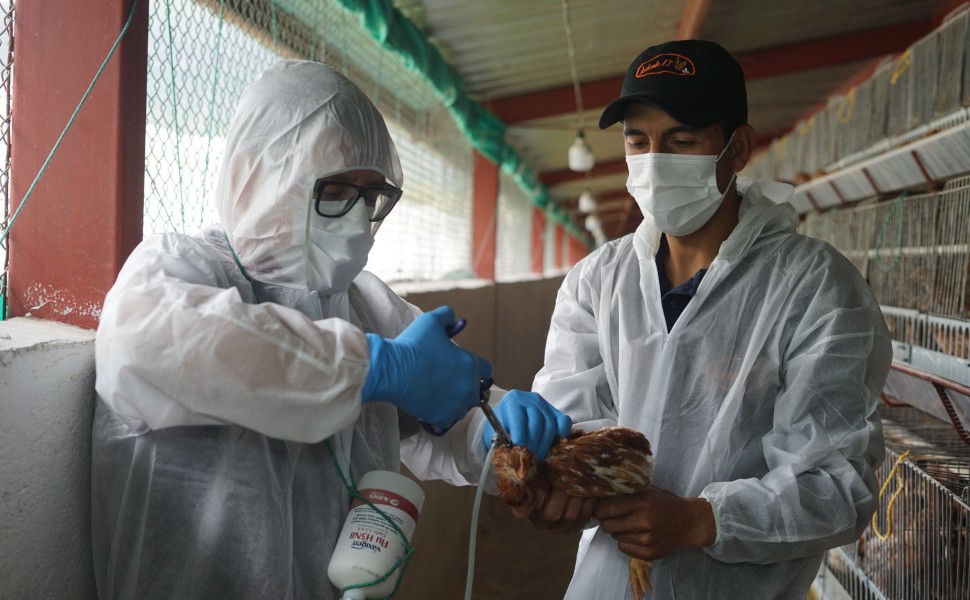 Φωτό αρχείου: ECUADOR AVIAN FLU/EPA/ΑΠΕ-ΜΠΕ