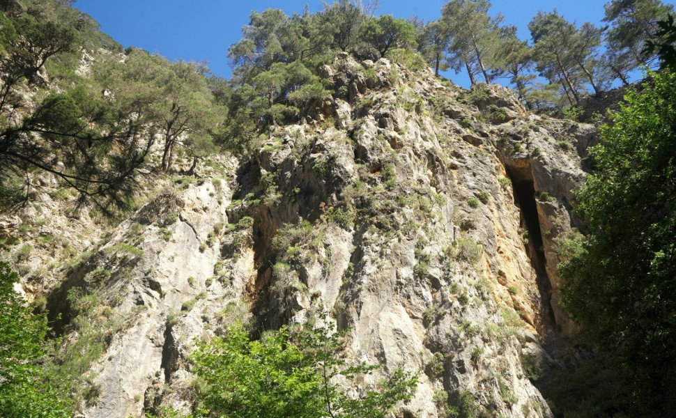 Φαράγγι της Αγίας Ειρήνης στο Σέλινο Χανίων / Unsplash Φαράγγι της Αγίας Ειρήνης στο Σέλινο Χανίων / Unsplash