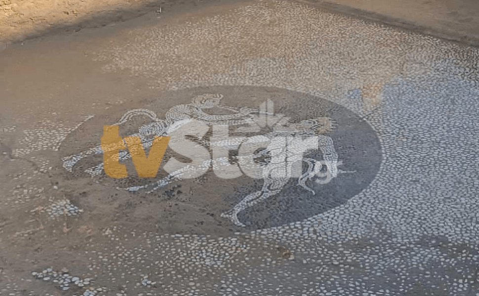 Μωσαϊκό δάπεδο στην Ερέτρια - tvstar.gr Μωσαϊκό δάπεδο στην Ερέτρια - tvstar.gr