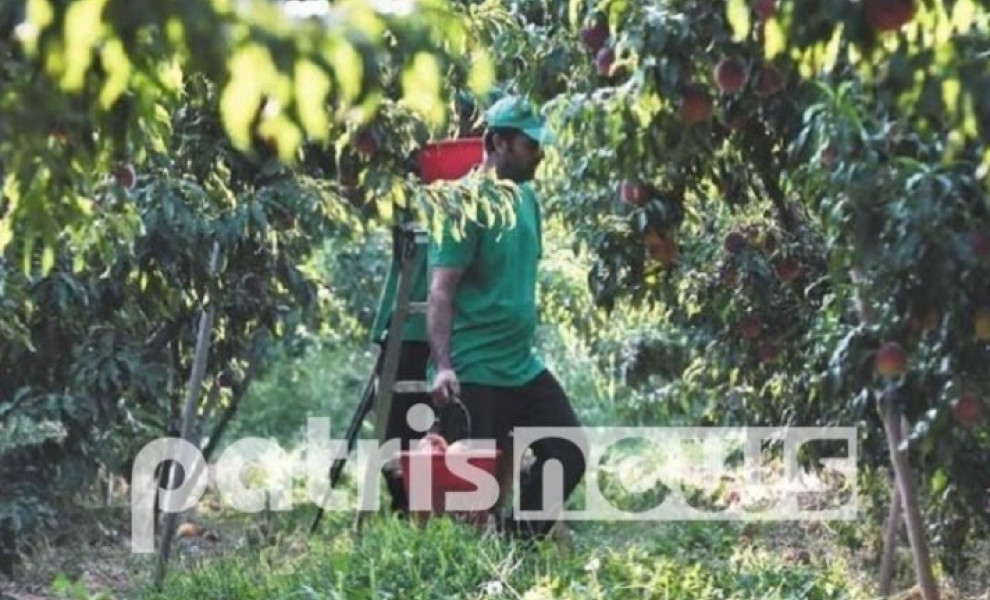 Πηγή: patrisnews.gr