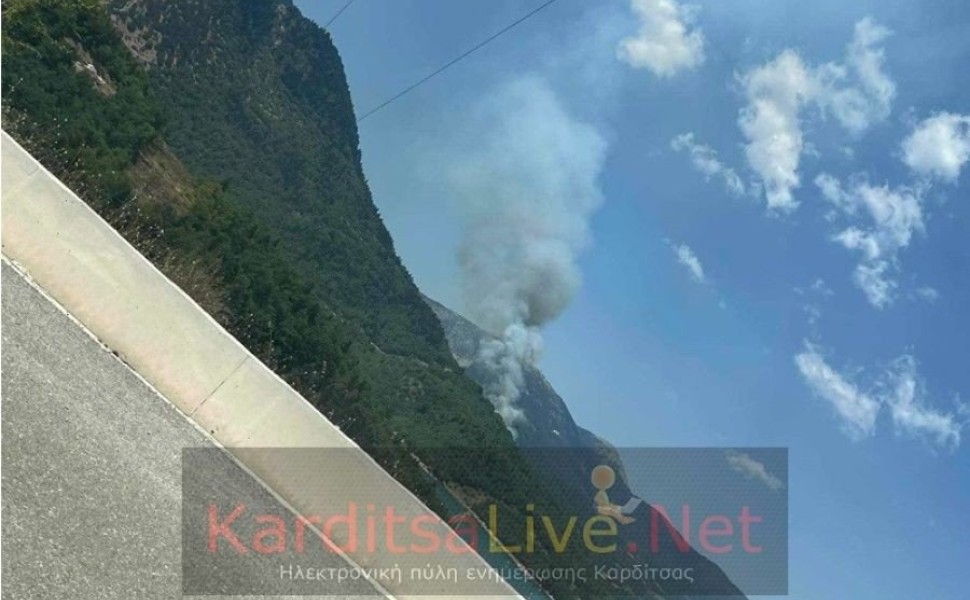 Πηγή: Karditsalive.net Πηγή: Karditsalive.net