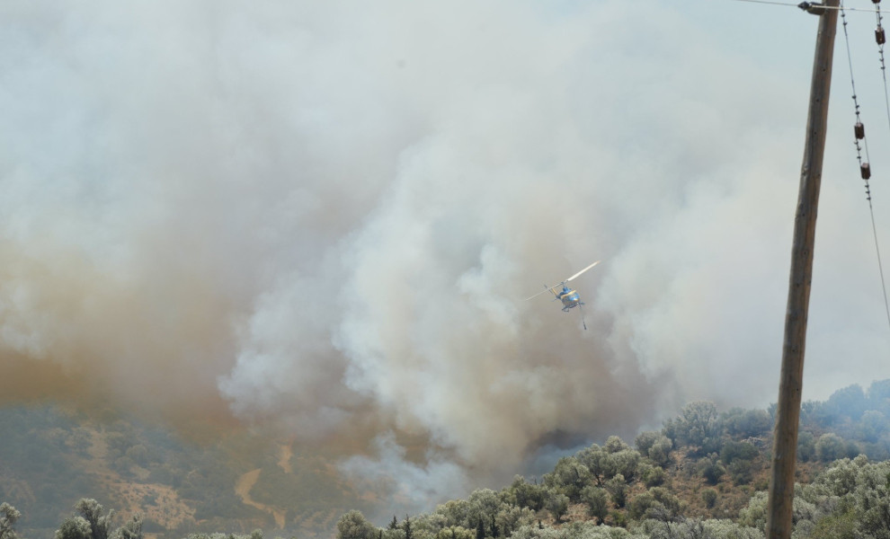 Φωτο: ΑΠΕ-ΜΠΕ/ΑΠΕ-ΜΠΕ/ΝΙΚΟΣ ΧΑΛΚΙΑΔΑΚΗΣ