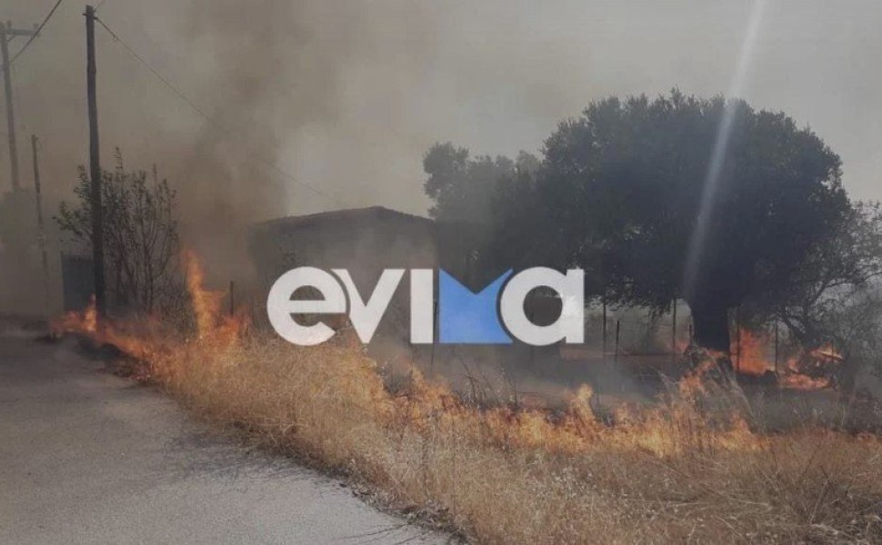 Φωτιά στην Εύβοια eviaonline.gr Φωτιά στην Εύβοια eviaonline.gr