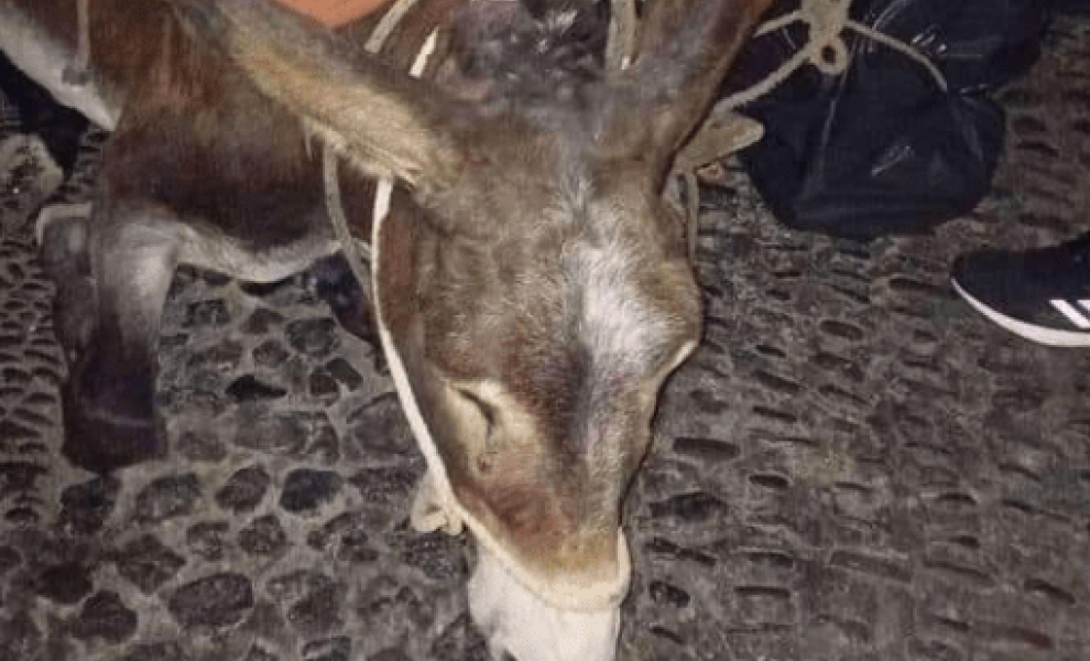 Youtube - Νέμεσις