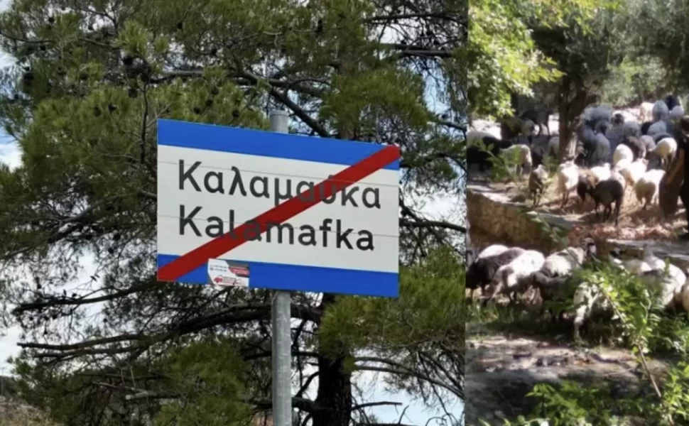 φωτοφγραφία Cretalive φωτοφγραφία Cretalive