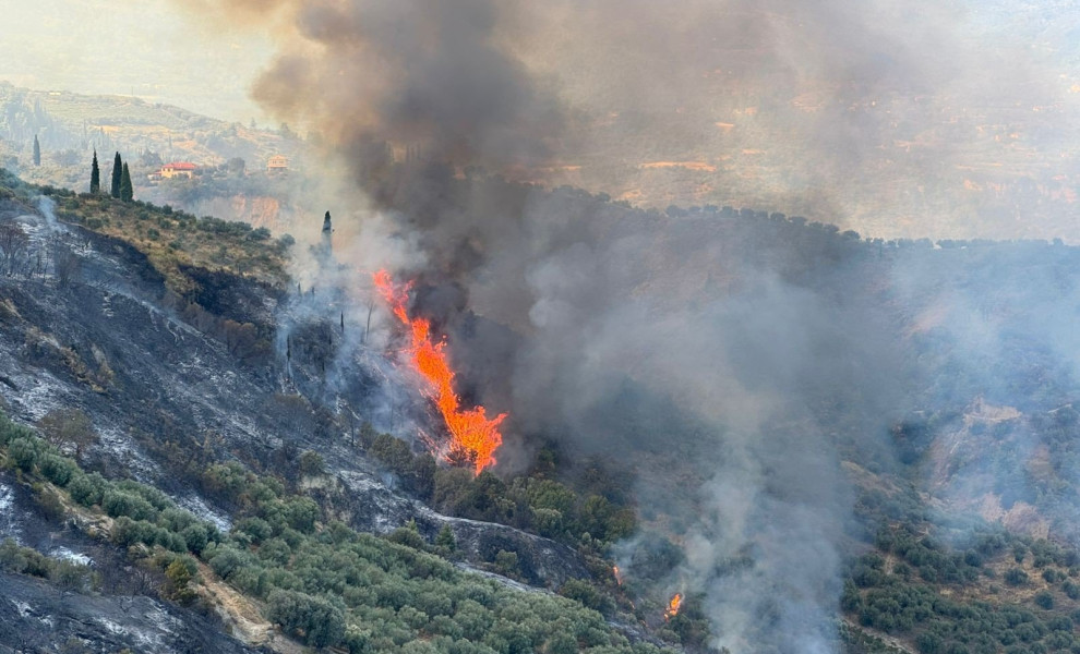Γιάννης Κέμμος/flash.gr