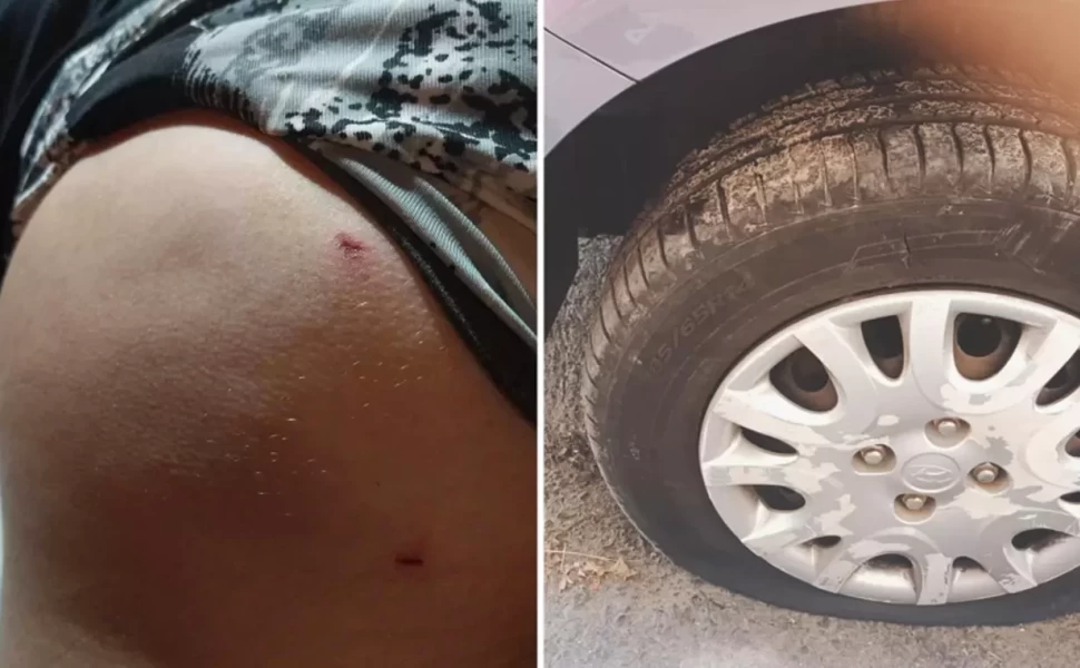 φωτογραφία Cretalive φωτογραφία Cretalive