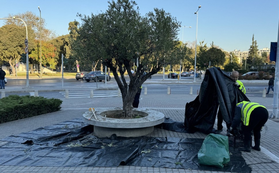 πηγή: ΑΠΕ ΜΠΕ πηγή: ΑΠΕ ΜΠΕ