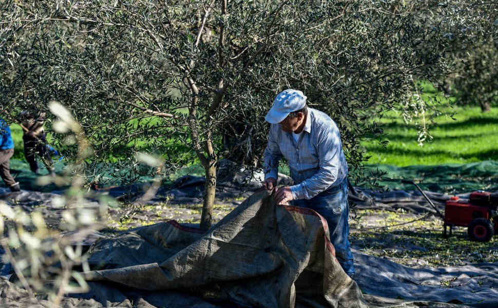 Φωτογραφία αρχείου Eurokinissi Φωτογραφία αρχείου Eurokinissi