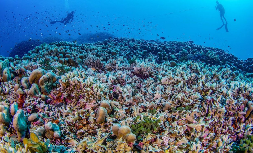 Manu San Félix, National Geographic