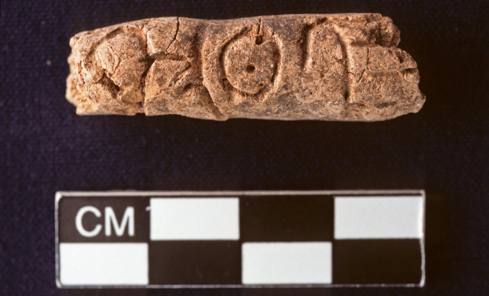 Johns Hopkins University