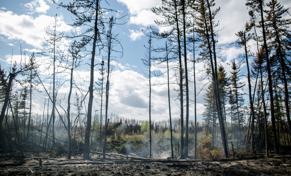 Το καμένο δάσος στο Φορτ ΜακΜάρι του Καναδά (ΑΠΕ-ΜΠΕ / EPA)