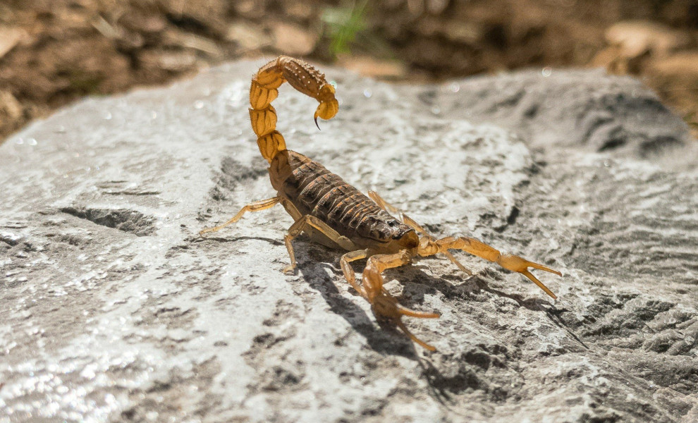 Φωτογραφία αρχείου (Sina Katirachi / Unsplash)