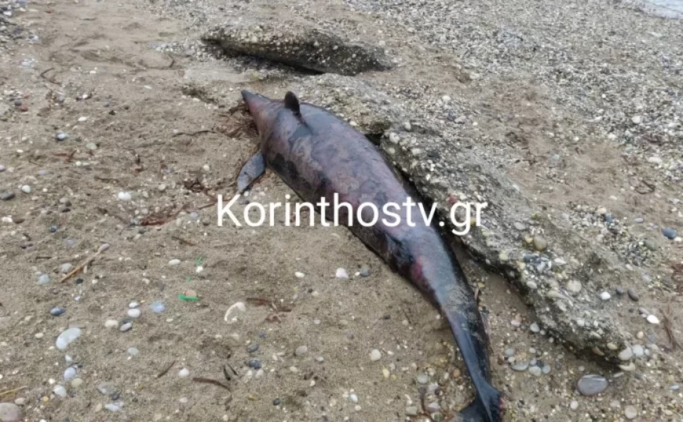 Credits: KorinthosTv