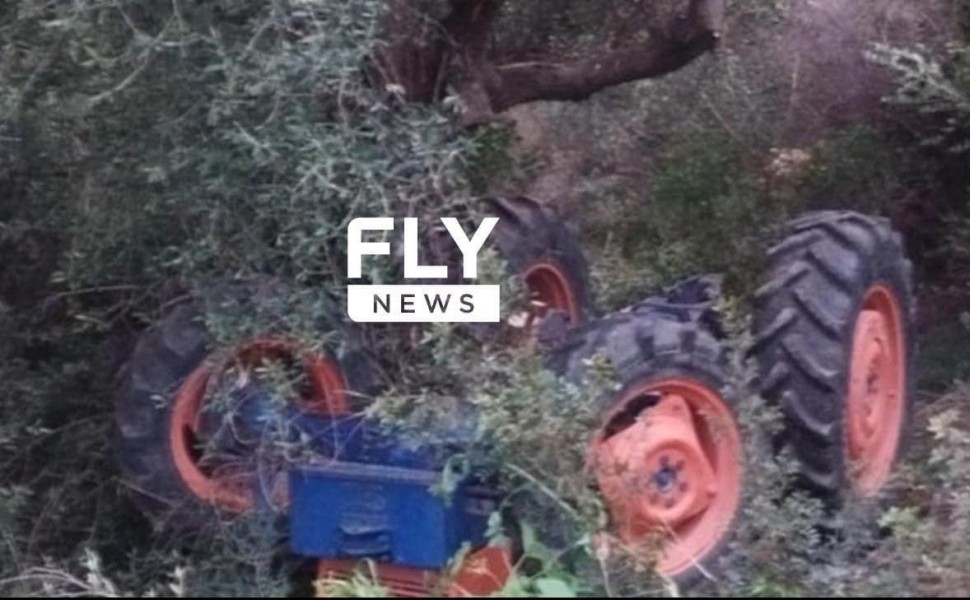 flynews flynews