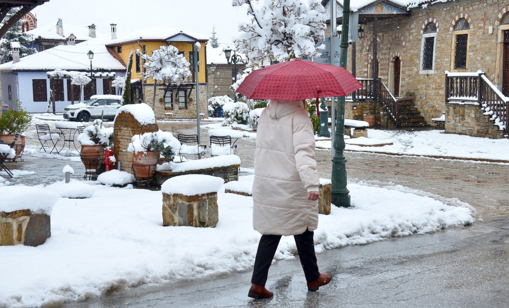 Φωτό: ΔΗΜΗΤΡΗΣ ΖΑΧΟΣ/INTIME