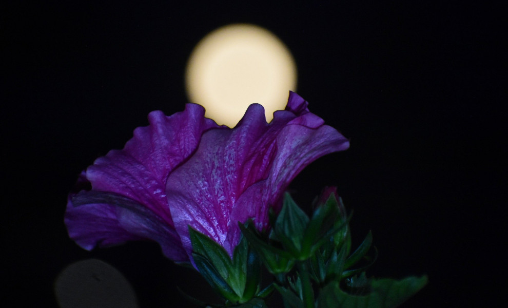 Φωτογραφία αρχείου Eurokinissi