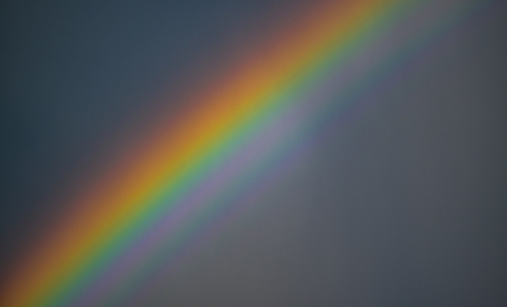 (Photo by Patrick Pleul/picture alliance via Getty Images)