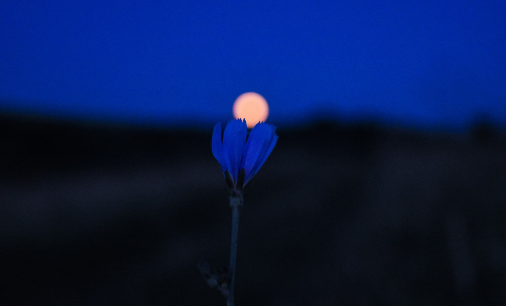 Alex Meta - Unsplash