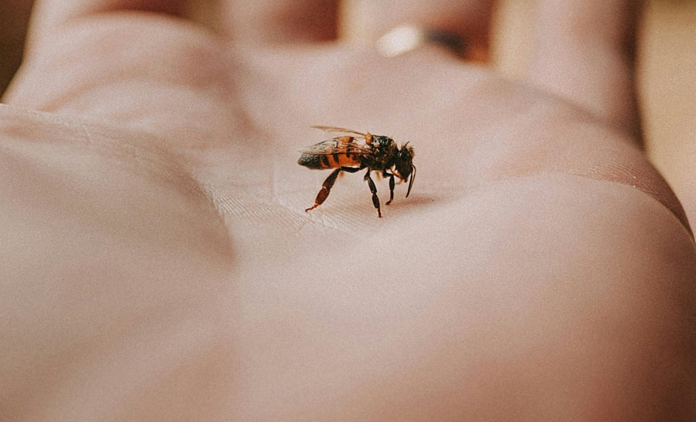 Φωτ. αρχείου UNSPLASH
