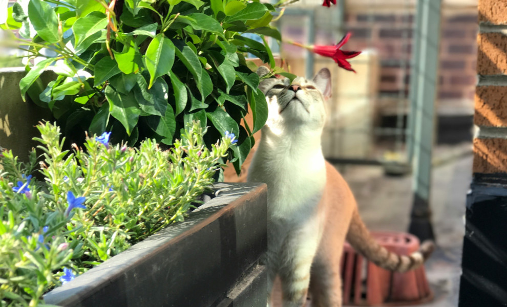 Φωτό: Unsplash