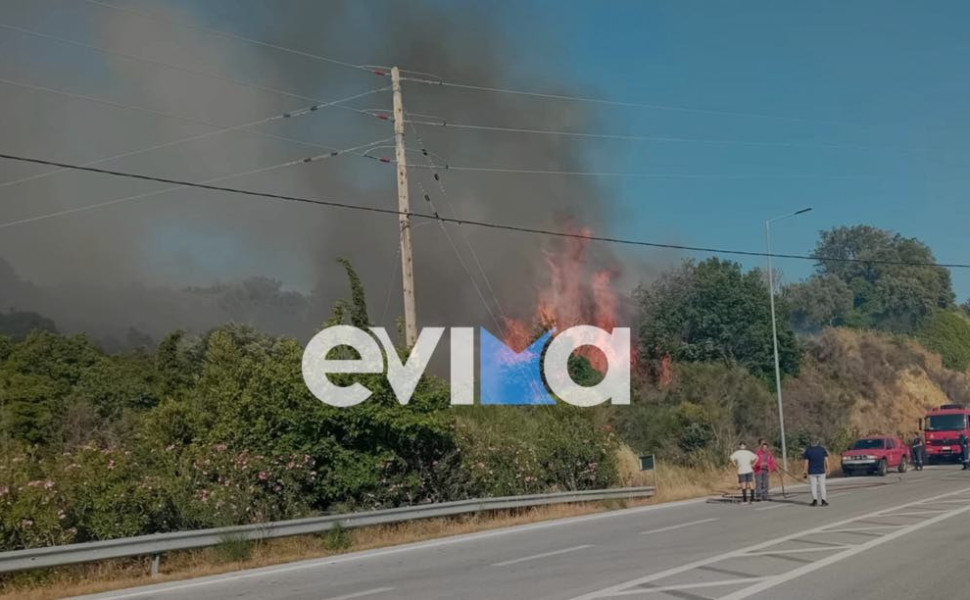 Φωτό: evima.gr