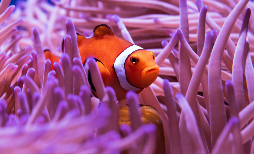 Φωτογραφία: Unsplash