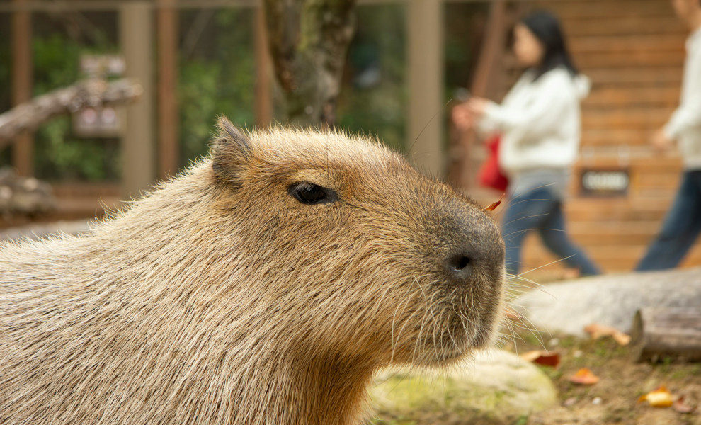 Φωτογραφία: Unsplash
