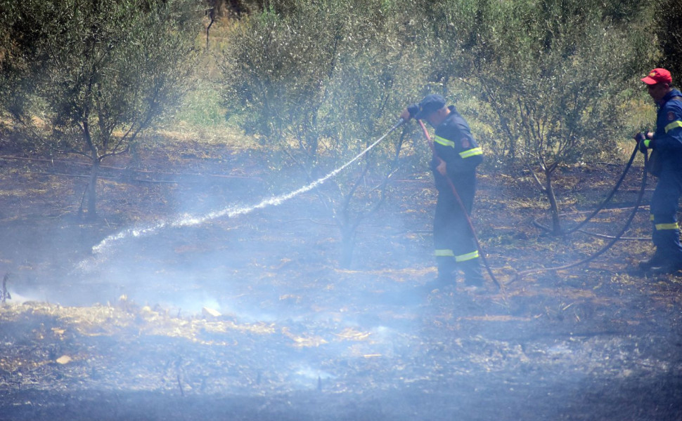 Ισχυρή δύναμη της Πυροσβεστικής επιχειρεί στη φωτιά που ξέσπασε στην Οιχαλία/Φωτ. αρχείου EUROKINISSI
