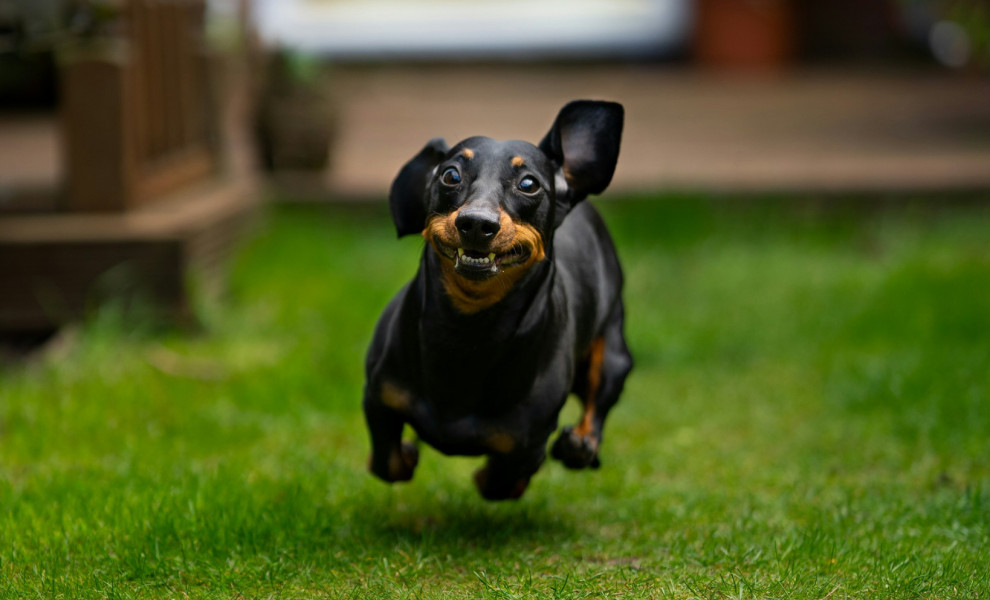 Photo by James Watson on Unsplash