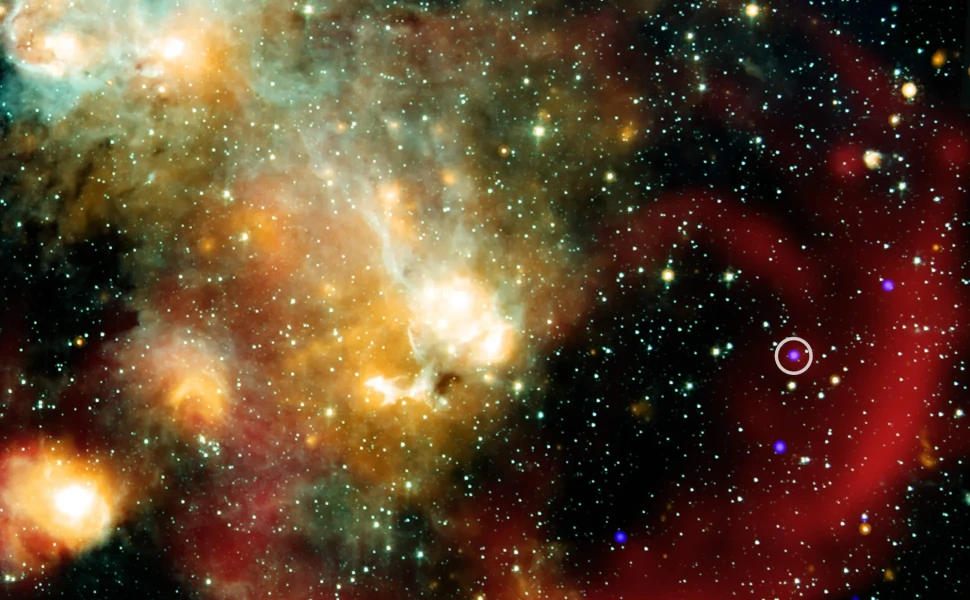 X-ray: NASA/CXC/ICRAR, Curtin Univ./Z. Wang et al.; Infrared: NASA/JPL/CalTech/IPAC; Radio: SARAO/MeerKAT; Image processing: NASA/CXC/SAO/N. Wolk